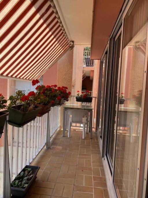 T2 De 50 M2 + Balcon + Parking Pour 4 Personnes Arcachon